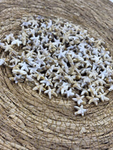 Deniz Yıldızı 50 Gram