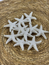 Deniz Yıldızı 50 Gram