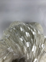 Kelebekli Keçi Moher Yün İpi 538 Gram KLB28