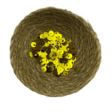 Sarı Pul Küçük Boy 1cm